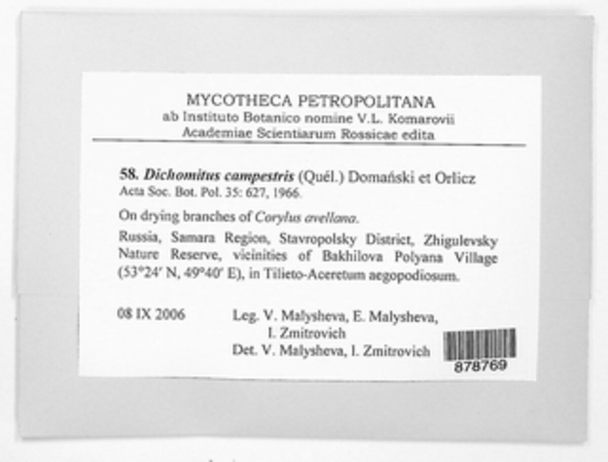 Szczepkamyces campestris image